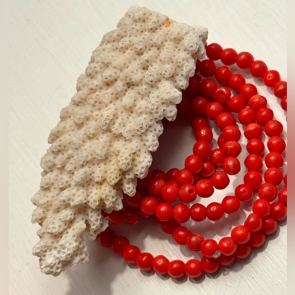 Red Coral Beaded Necklace + Large White Coral Pendant - Picture 1 of 13